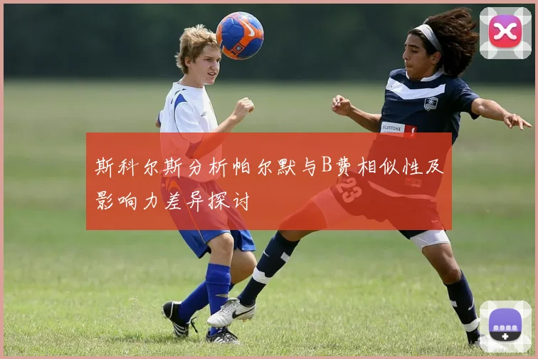 斯科尔斯分析帕尔默与B费相似性及影响力差异探讨
