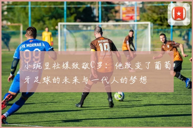 小豌豆社媒致敬C罗：他改变了葡萄牙足球的未来与一代人的梦想