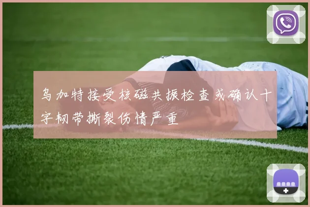 乌加特接受核磁共振检查或确认十字韧带撕裂伤情严重